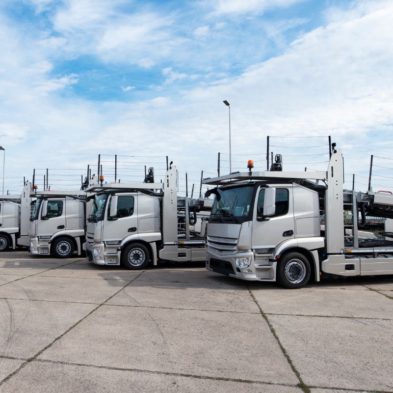Integrering af ProTrack GPS -trackere med Fleet Management Tools